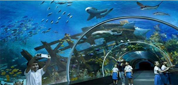 khách sạn giá rẻ tại đảo sentosa singapore gần thủy cung S.E.A Aquarium